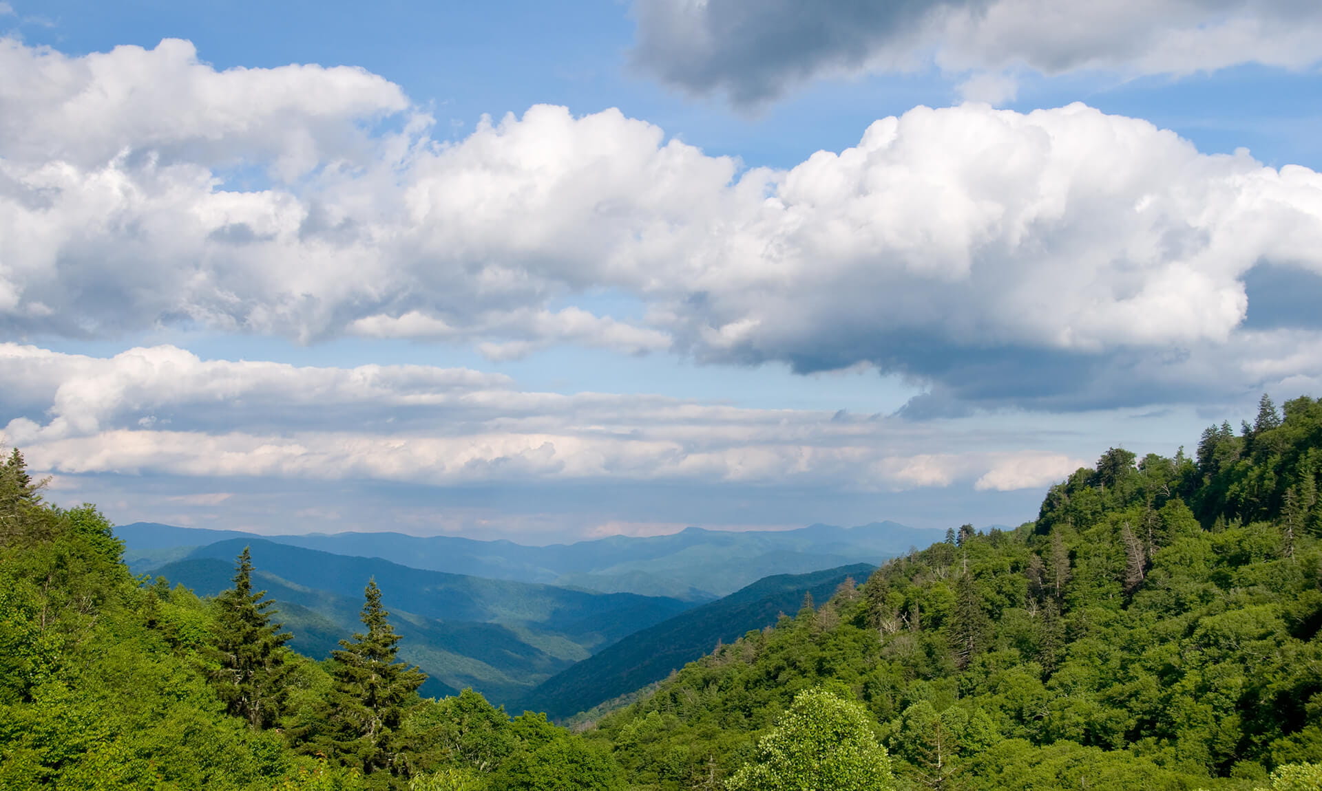 Appalachian Trail Mountain View